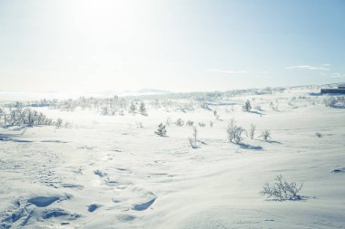 Donmuş Plains'de snowy Norveç kış günü güzel bir manzara