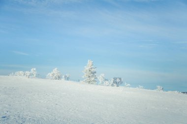 Donmuş Plains'de snowy Norveç kış günü güzel bir manzara