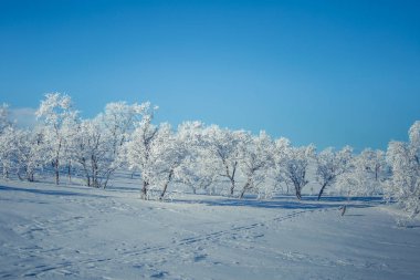 Bir karlı bir güzel beyaz peyzaj Kayak ile Norveç kış günü izler