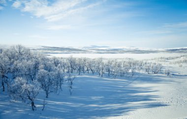 Bir karlı bir güzel beyaz peyzaj Kayak ile Norveç kış günü izler