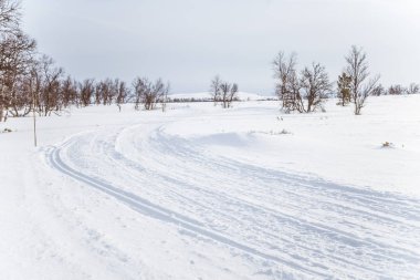 Snowy Norveç kış gün parça ile kar arabası ya da köpek kızağı güzel bir beyaz manzara
