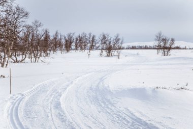 Snowy Norveç kış gün parça ile kar arabası ya da köpek kızağı güzel bir beyaz manzara