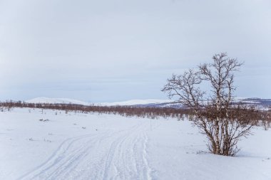 Snowy Norveç kış gün parça ile kar arabası ya da köpek kızağı güzel bir beyaz manzara
