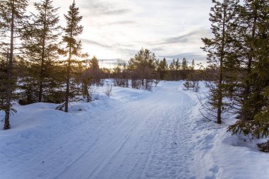 Snowy Norveç kış gün parça ile kar arabası ya da köpek kızağı güzel bir beyaz manzara