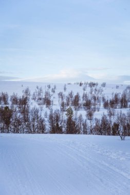 Snowy Norveç kış gün parça ile kar arabası ya da köpek kızağı güzel bir beyaz manzara