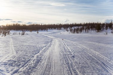Snowy Norveç kış gün parça ile kar arabası ya da köpek kızağı güzel bir beyaz manzara