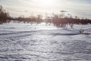 Snowy Norveç kış gün parça ile kar arabası ya da köpek kızağı güzel bir beyaz manzara