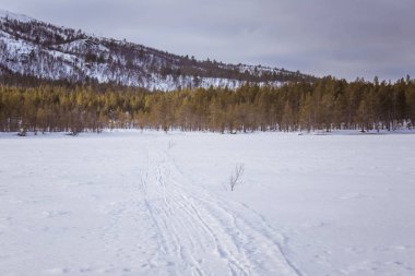 Snowy Norveç kış gün parça ile kar arabası ya da köpek kızağı güzel bir beyaz manzara