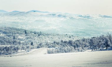 Snowy Norveç kış gün parça ile kar arabası ya da köpek kızağı güzel bir beyaz manzara
