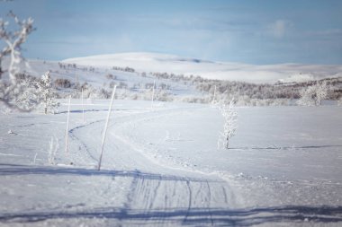 Snowy Norveç kış gün parça ile kar arabası ya da köpek kızağı güzel bir beyaz manzara