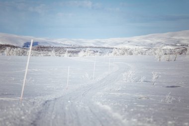 Snowy Norveç kış gün parça ile kar arabası ya da köpek kızağı güzel bir beyaz manzara