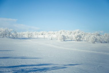 Snowy Norveç kış gün parça ile kar arabası ya da köpek kızağı güzel bir beyaz manzara