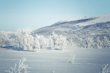 Snowy Norveç kış günü güzel bir beyaz manzara