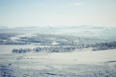 Snowy Norveç kış günü güzel bir beyaz manzara