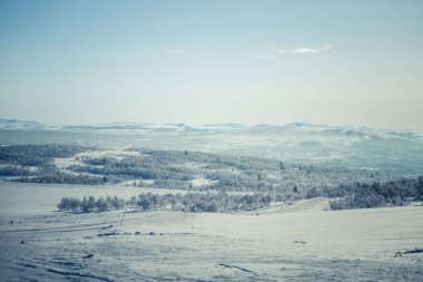 Snowy Norveç kış günü güzel bir beyaz manzara