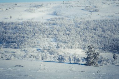 Snowy Norveç kış günü güzel bir beyaz manzara