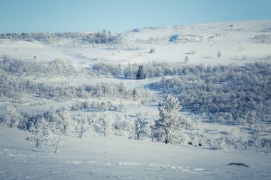 Snowy Norveç kış günü güzel bir beyaz manzara