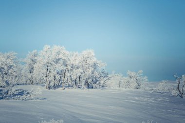 Snowy Norveç kış günü güzel bir beyaz manzara