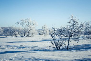 Snowy Norveç kış günü güzel bir beyaz manzara