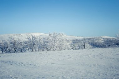 Snowy Norveç kış günü güzel bir beyaz manzara