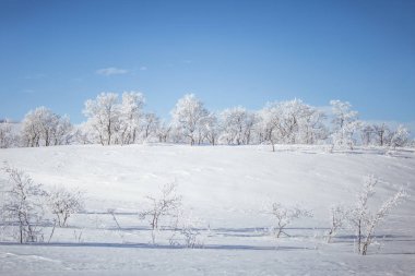 Snowy Norveç kış günü güzel bir beyaz manzara