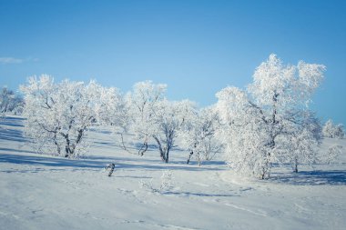 Snowy Norveç kış günü güzel bir beyaz manzara