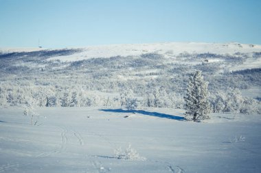 Snowy Norveç kış günü güzel bir beyaz manzara