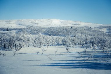 Snowy Norveç kış günü güzel bir beyaz manzara