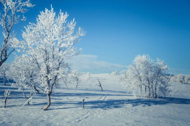 Snowy Norveç kış günü güzel bir beyaz manzara