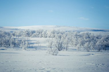 Snowy Norveç kış günü güzel bir beyaz manzara