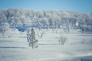 Snowy Norveç kış günü güzel bir beyaz manzara