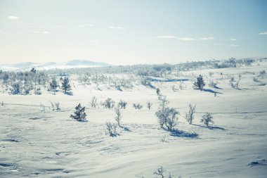 Snowy Norveç kış günü güzel bir beyaz manzara