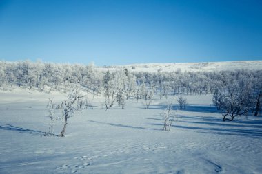 Snowy Norveç kış günü güzel bir beyaz manzara