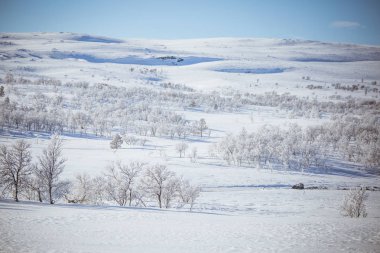 Snowy Norveç kış günü güzel bir beyaz manzara