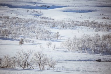 Snowy Norveç kış günü güzel bir beyaz manzara