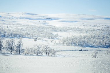 Snowy Norveç kış günü güzel bir beyaz manzara