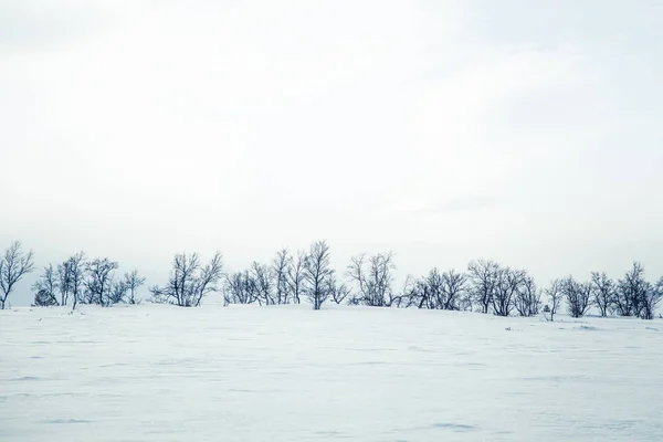 Un hermoso paisaje de una llanura congelada en un día nevado de invierno noruego —  Fotos de Stock