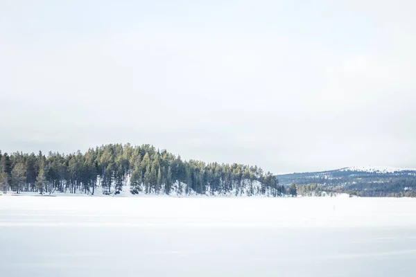 Krásná krajina zledovatělé pláni v zasněžené norské zimní den — Stock fotografie
