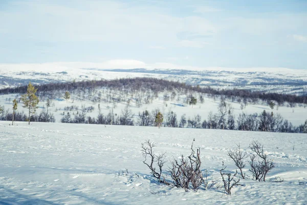 Un beau paysage de plaines gelées dans une journée d'hiver norvégienne enneigée — Photo