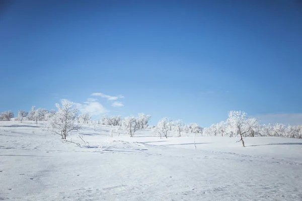 Ένα πανέμορφο τοπίο της μια παγωμένη πεδιάδες σε ένα χιονισμένο Νορβηγικά χειμωνιάτικη ημέρα — Φωτογραφία Αρχείου