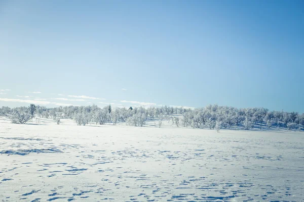 Un hermoso paisaje de una llanura congelada en un día nevado de invierno noruego —  Fotos de Stock