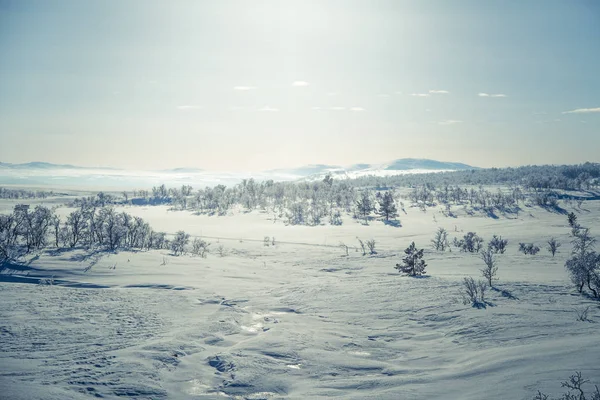 Un beau paysage de plaines gelées dans une journée d'hiver norvégienne enneigée — Photo