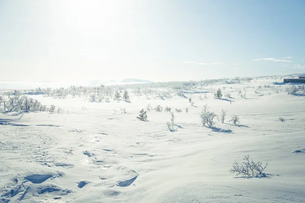 Un beau paysage de plaines gelées dans une journée d'hiver norvégienne enneigée — Photo