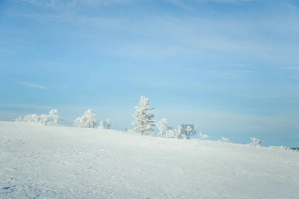 Un hermoso paisaje de una llanura congelada en un día nevado de invierno noruego —  Fotos de Stock