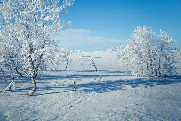 Un hermoso paisaje blanco de un nevado día de invierno noruego con pistas de esquí —  Fotos de Stock