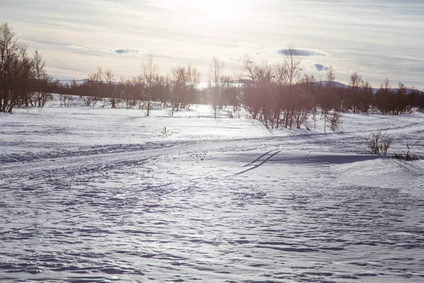 Snowy Norveç kış gün parça ile kar arabası ya da köpek kızağı güzel bir beyaz manzara