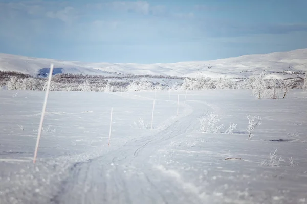 Un hermoso paisaje blanco de un día de invierno nevado noruego con pistas para motos de nieve o trineos para perros — Foto de Stock