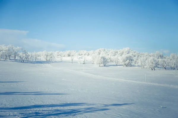 Un hermoso paisaje blanco de un día de invierno nevado noruego con pistas para motos de nieve o trineos para perros — Foto de Stock