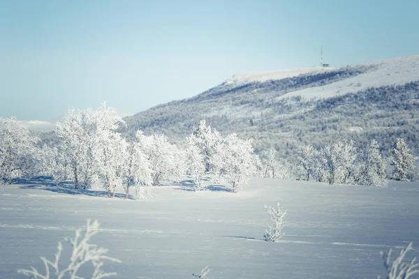 Un hermoso paisaje blanco de un nevado día de invierno noruego — Foto de Stock