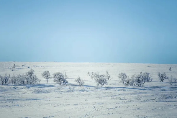 Un beau paysage blanc d'une journée d'hiver norvégienne enneigée — Photo